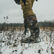 Men's Mossy Oak® Country DNA™ Arctic Pro Boot, , large