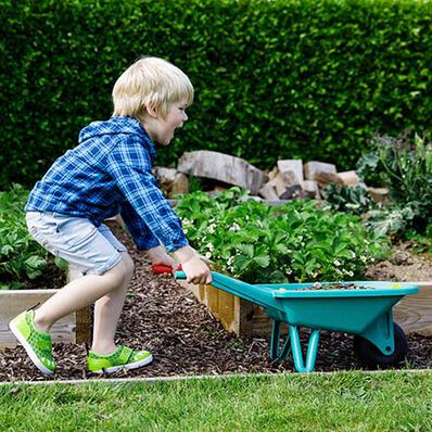 Kids' Summer Solstice, , large