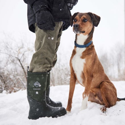 Dog top muck boots
