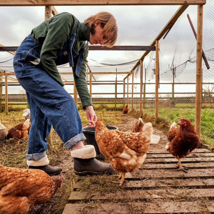 Boots for chicken coop hotsell