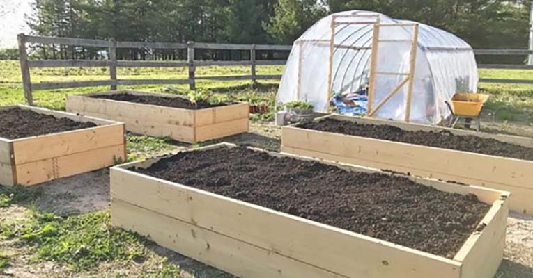 Plots of soild cleaned and ready for planting