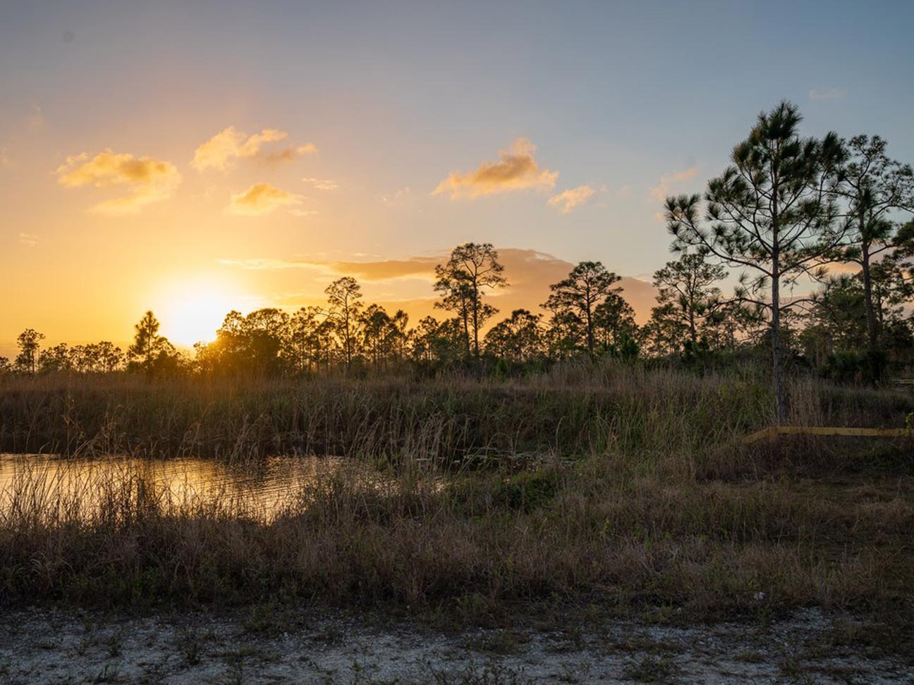 Public Lands