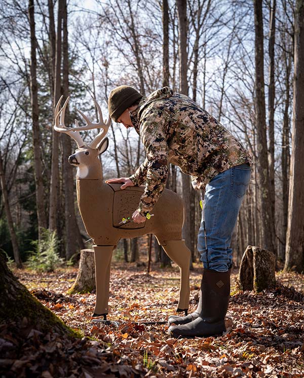 pulling an arrow from the fake deer target