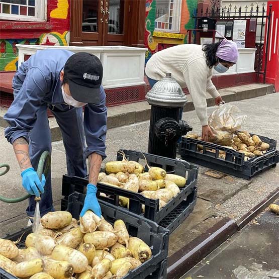 Two people washing potatoes in plastic crates outside