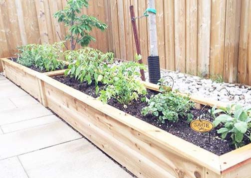 3 steps to prep your garden for planting