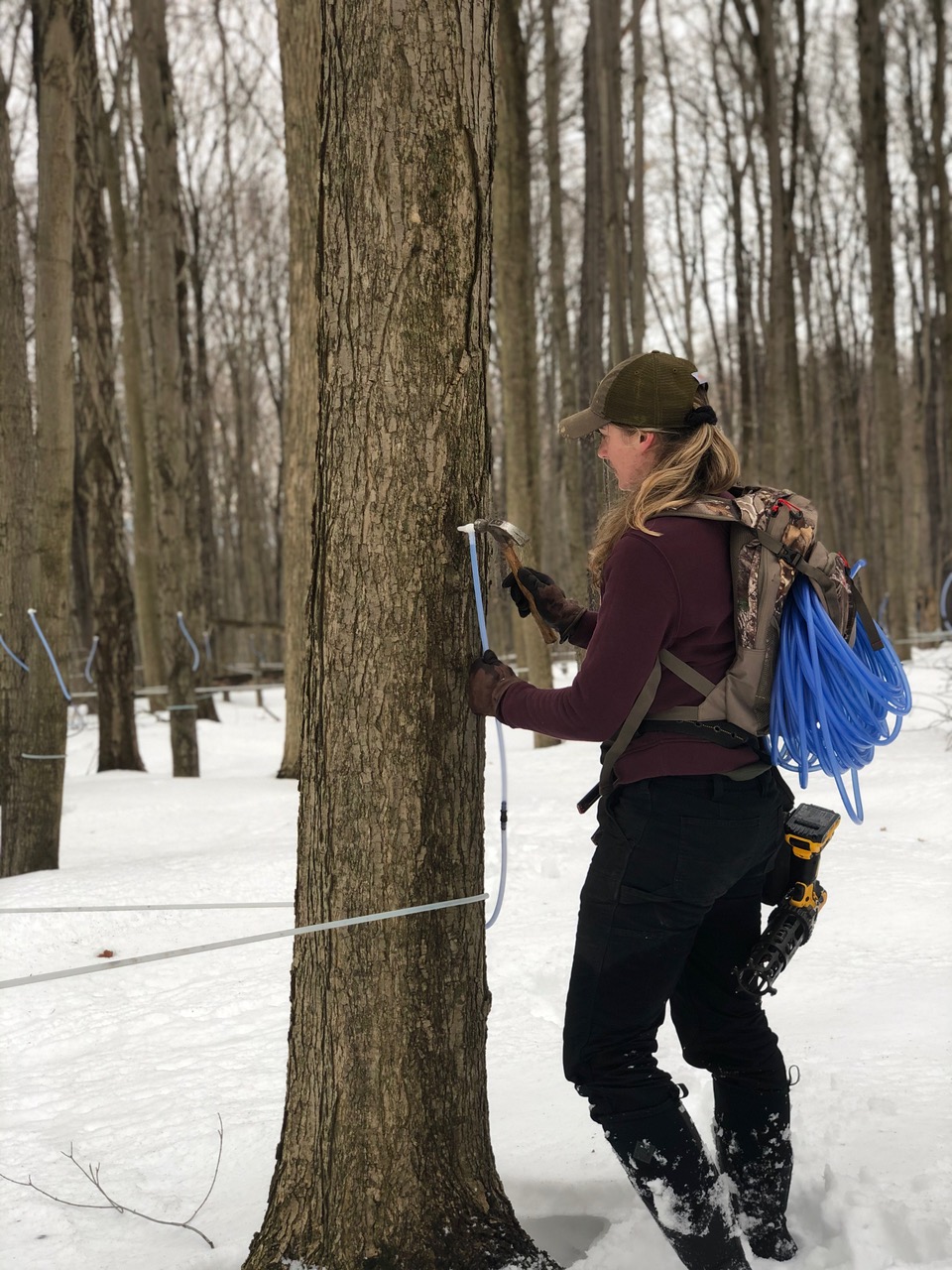 Nikki Tapping a Tree