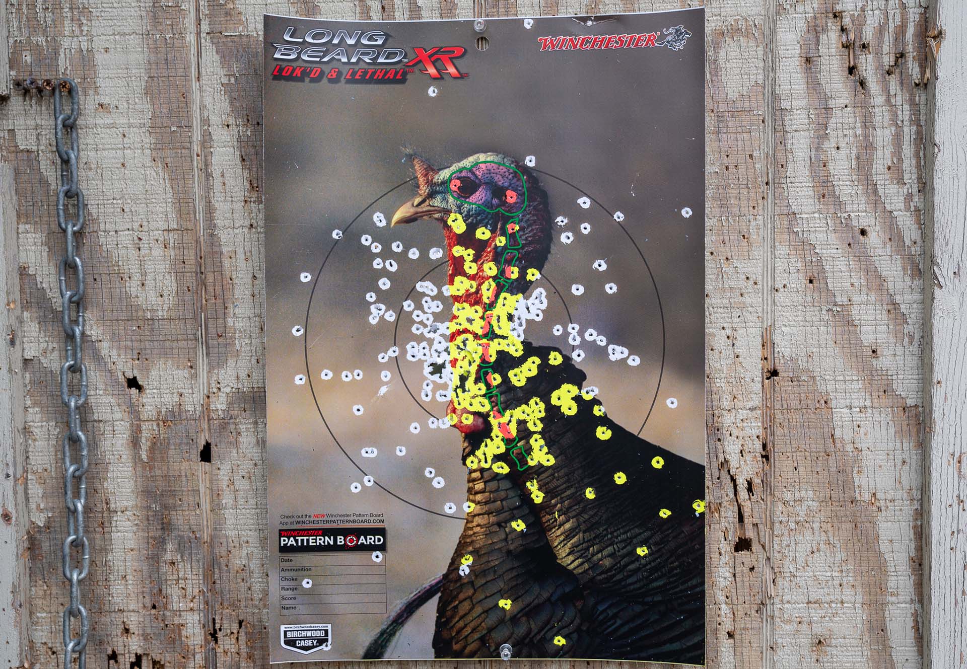 Practice target of turkey shot full of bullet holes