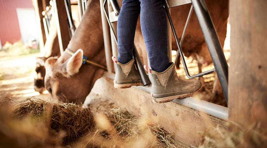 Women's Muck Boots Women's Rain Boots Womens Rubber Boots