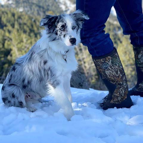 Brayden standing next to his dog in the snow, wearing his Muck boots.