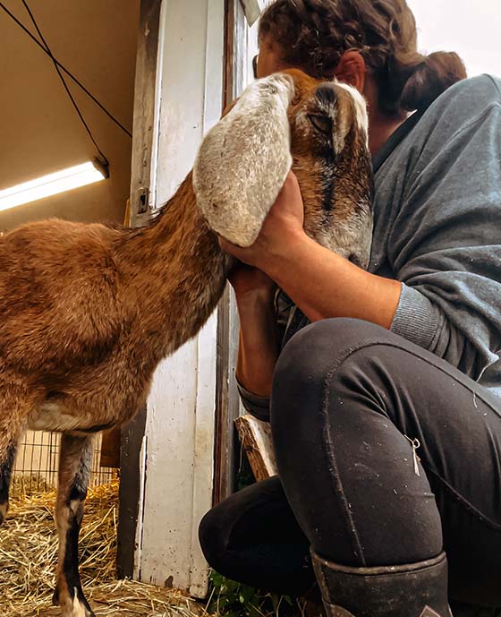 Elizabeth hugging a goat